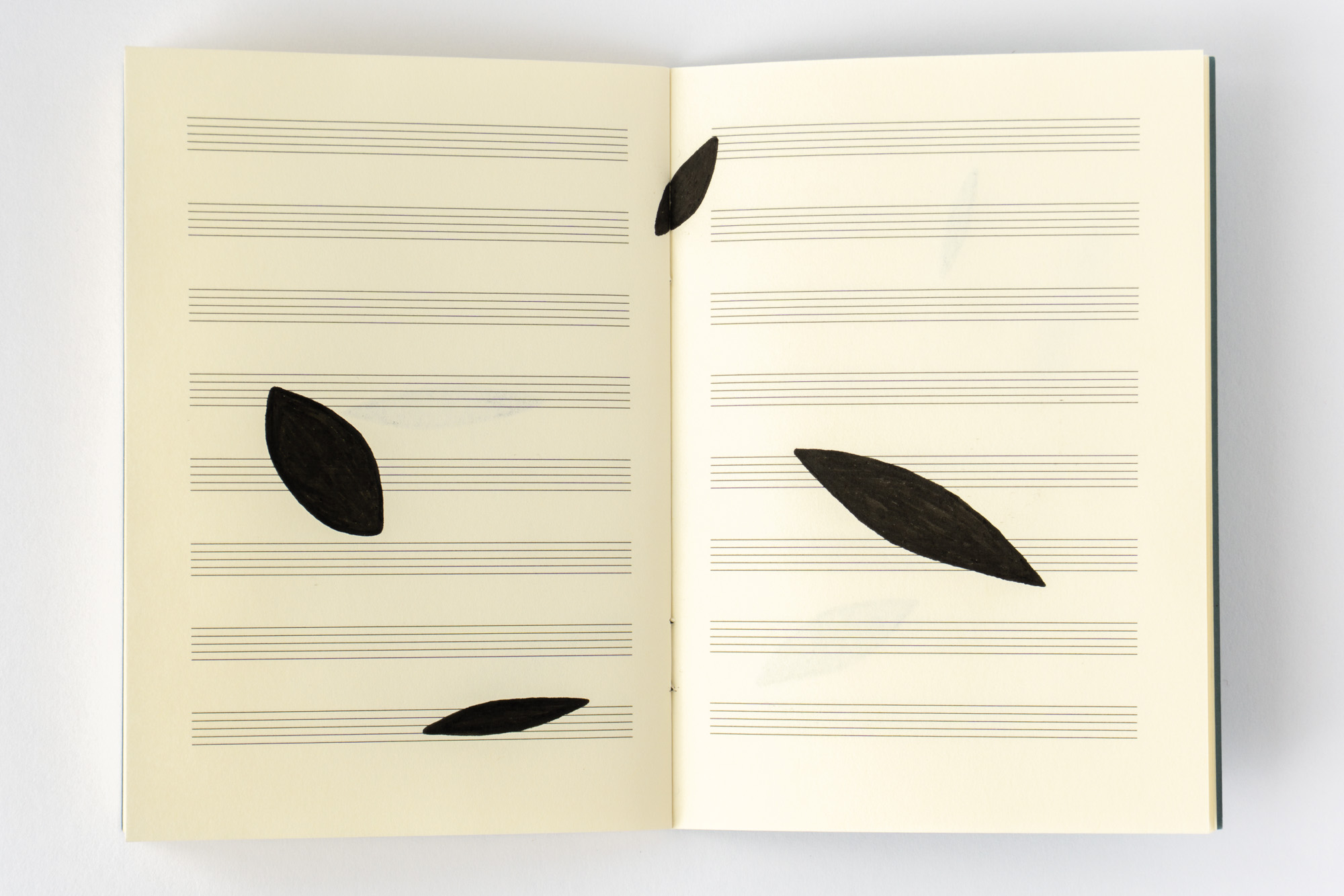 Negative Transcriptions by Robert Blatt